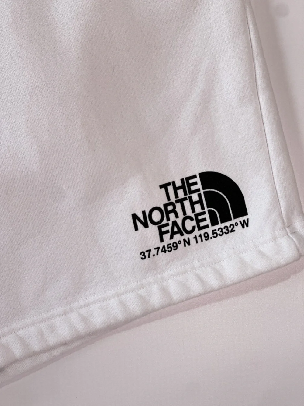 The North Face Mens Coordinates Fleece Shorts White XL